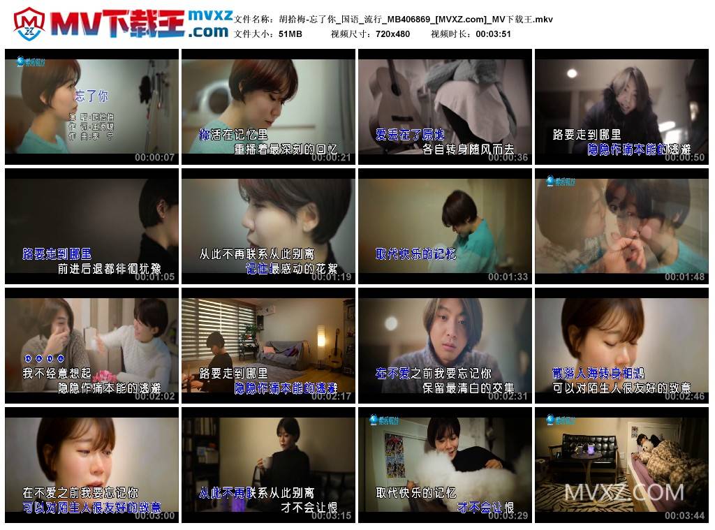 胡拾梅-忘了你_国语_流行_MB406869